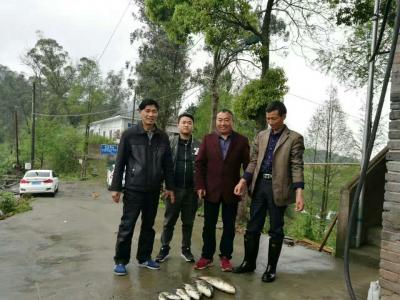 达州明星水库案例